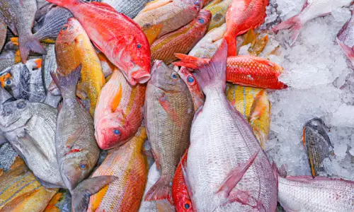 കടൽവിഭവങ്ങളിൽ ജാഗ്രത വേണമെന്ന് ഭക്ഷ്യ സുരക്ഷ അതോറിറ്റി