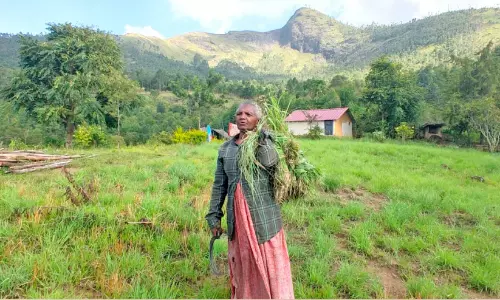 ചാ​ന്ദ്ര​മ​ണ്ഡ​ല​ത്തി​ലെ ഇ​ന്ദി​രാ​മ്മ