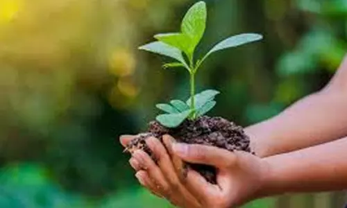 ക്യൂ​ഗെ​റ്റ് ഖ​ത്ത​ർ പ​രി​സ്ഥി​തി ദി​നാ​ച​ര​ണം