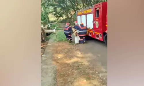 ക​ട​ന്ന​ൽ കു​ത്തേ​റ്റ് 10 പേ​ർ​ക്ക് പ​രി​ക്ക്​