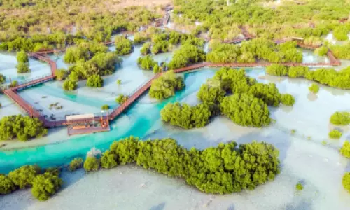 അബൂദബി കണ്ടല്‍ക്കാട് പദ്ധതിയില്‍   ‘താഖ’ ഔദ്യോഗിക പങ്കാളി