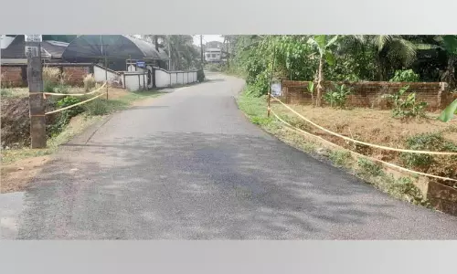 കണ്ണൊന്ന് തെറ്റിയാൽ അപകടം; പുളിന്തിട്ട-ചാത്താംകുളം റോഡിൽ കനാലിന് കൈവരിയില്ലാത്തത് അപകടഭീഷണി