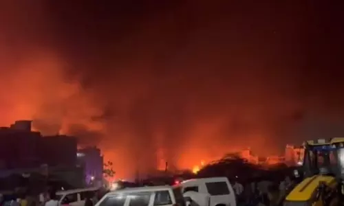 ഡൽഹിയിൽ മീൻ മാർക്കറ്റിൽ വൻ തീപിടിത്തം; നിലവിൽ ആളപായമില്ല