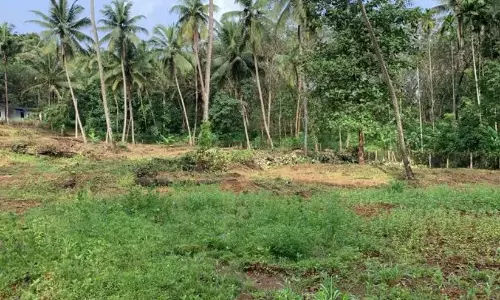 ആറളത്തെ പട്ടയം; അർഹരെ ഒഴിവാക്കിയെന്ന് പരാതി