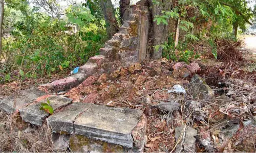 പുറമ്പോക്ക് ഭൂമി കാട് കയറി വിഷപ്പാമ്പുകളുടെ താവളമാകുന്നു