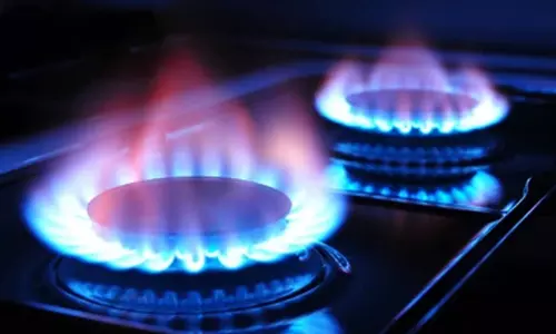 പാചകവാതക പ്രതിസന്ധി: ഗ്യാസ് ഉപയോഗം കുറക്കാൻ പൊടിക്കൈകൾ വേണോ‍?, എങ്കിൽ ഇതാ....