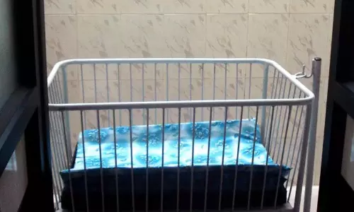 അമ്മത്തൊട്ടിലിൽ ആരവിനു പിന്നാലെ നീരവ്