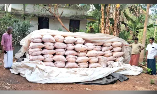 മണ്ണൂരിൽ കൊയ്ത്ത് കഴിഞ്ഞ് ഒന്നരമാസം നെല്ല് സംഭരിച്ചില്ല; കർഷകർ ദുരിതത്തിൽ മണ്ണൂരിൽ കൊയ്ത്ത് കഴിഞ്ഞ് ഒന്നരമാസം നെല്ല് സംഭരിച്ചില്ല; കർഷകർ ദുരിതത്തിൽ