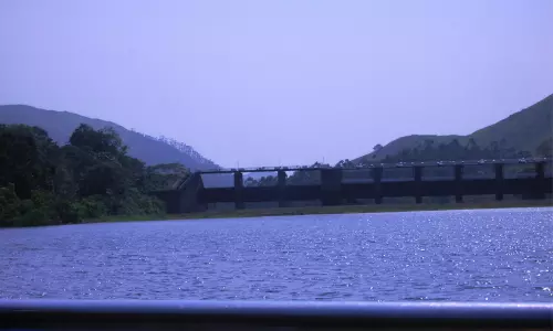 വനം വകുപ്പിന്റെ നിബന്ധനകൾക്ക് വഴങ്ങി; തമിഴ്അന്നൈ മുല്ലപ്പെരിയാറിലേക്ക് ഓടിത്തുടങ്ങി