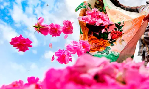 ജബൽ അഖ്ദറിൽ ‘റോസ് ഫെസ്റ്റിവൽ’ മാർച്ച് 30 മുതൽ