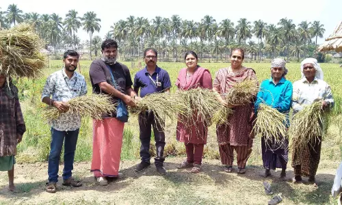 ഔ​ഷ​ധ ഗു​ണ​മു​ള്ള നെ​ൽ വി​ത്തി​ന​ങ്ങ​ളു​ടെ സം​ര​ക്ഷ​ക​നാ​യി സ​ക്കീ​ർ ഹു​സൈ​ൻ