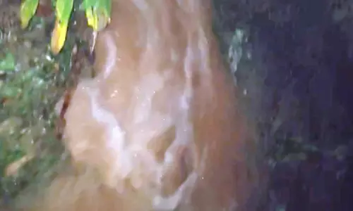 രണ്ട് ബൈക്കും ഒരു ഓട്ടോയും ഒഴുകിപ്പോയി; ഓടനാവട്ടം കളപ്പിലയിൽ കനാൽ പൊട്ടി വൻ കൃഷിനാശം രണ്ട് ബൈക്കും ഒരു ഓട്ടോയും ഒഴുകിപ്പോയി; ഓടനാവട്ടം കളപ്പിലയിൽ കനാൽ പൊട്ടി വൻ കൃഷിനാശം