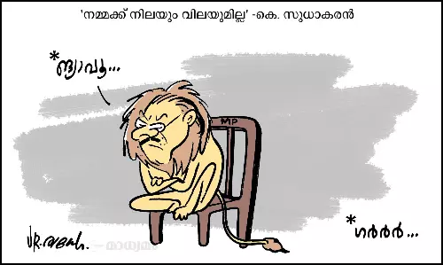 ങ്യാവൂ..
