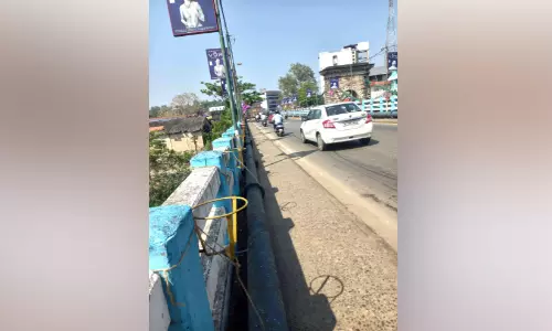 ലക്ഷങ്ങൾ പാഴാക്കിയത് മിച്ചം; ചെടികൾ ചട്ടിയോടെ അടിച്ചുമാറ്റുന്നു ലക്ഷങ്ങൾ പാഴാക്കിയത് മിച്ചം; ചെടികൾ ചട്ടിയോടെ അടിച്ചുമാറ്റുന്നു