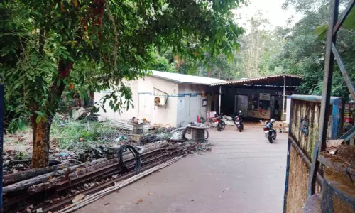 കെ.എസ്.ഇ.ബി ചാരുംമൂട് ഓഫിസ് കെട്ടിടം തകർച്ചയിൽ