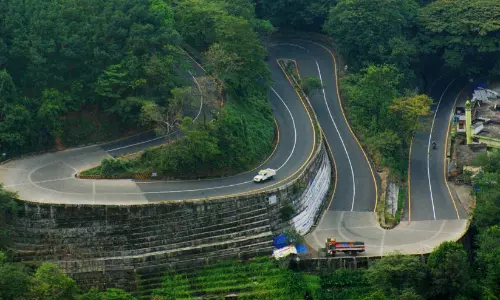 ‘ജനത്തെ തെറ്റിധരിപ്പിക്കുന്ന വാഗ്ദാനപ്പെരുമഴയല്ല, വയനാടിന്റെ ജീവൽ പ്രശ്നങ്ങൾക്ക് പരിഹാരമാണ് വേണ്ടത്’