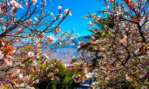 പെരുന്നാൾ അവധി: സ്വദേശി ടൂറിസം പ്രോത്സാഹിപ്പിക്കാൻ ഒമാൻ