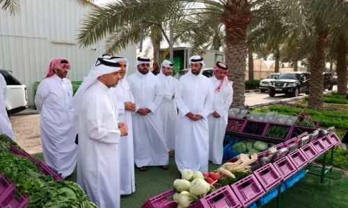 പ​ച്ച​ക്ക​റി ഉ​ൽ​പാ​ദ​ന​ത്തി​ൽ സ്വ​യം​പ​ര്യാ​പ്ത​ത;  ഭ​ക്ഷ്യ​സു​ര​ക്ഷ രം​ഗ​ത്ത് മു​ന്നേ​റ്റം