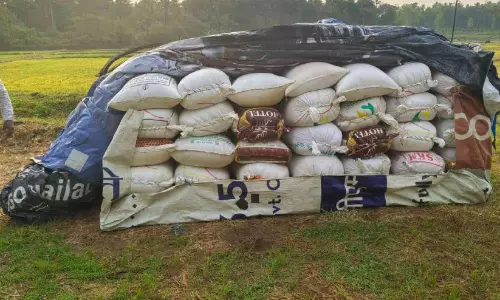 അധ്വാനം കണ്ണീരാകുന്നു; പാടശേഖരത്ത് മഴ നനഞ്ഞ് 30 ടൺ നെല്ല് അധ്വാനം കണ്ണീരാകുന്നു; പാടശേഖരത്ത് മഴ നനഞ്ഞ് 30 ടൺ നെല്ല്