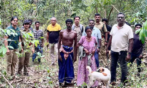 കാട്ടാന ആക്രമണം: രക്ഷപ്പെടാൻ ദമ്പതികൾ മരമുകളിൽ അഭയം തേടി കാട്ടാന ആക്രമണം: രക്ഷപ്പെടാൻ ദമ്പതികൾ മരമുകളിൽ അഭയം തേടി