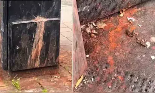 പൊതുസ്ഥലത്ത് പാൻമസാല ചവച്ചുതുപ്പി; ലണ്ടനിൽ ഇന്ത്യക്കാർക്ക് 1.72 ലക്ഷം പിഴ ചുമത്തി