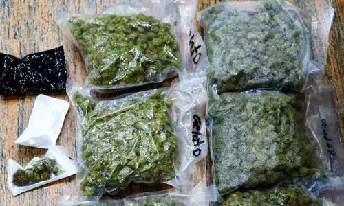 1.86 കോടിയുടെ ഹൈബ്രിഡ് കഞ്ചാവുമായി രണ്ട് ഡോക്ടർമാർ പിടിയിൽ