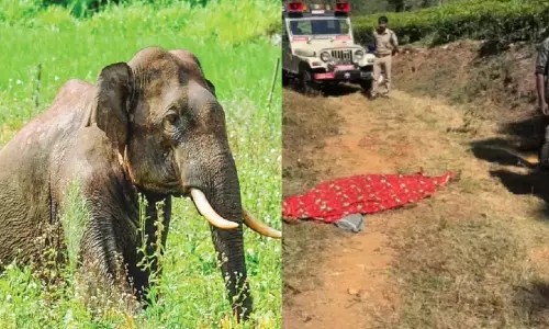 കാട് കടന്നുവരുന്ന അത്യാഹിതങ്ങൾ