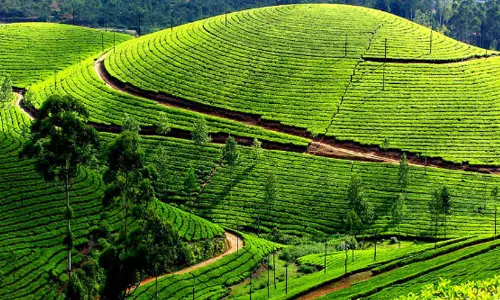 മലയോരത്തിനിത് പതിവില്ലാക്കാറ്റ്...