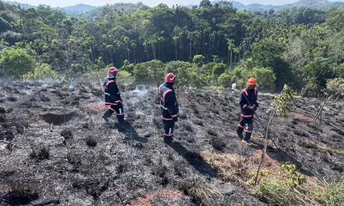 വാളാട് കൂടംകുന്നിൽ തോട്ടത്തിന് തീപിടിച്ചു