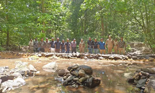 ജലദിനം: സംരക്ഷണ പ്രവർത്തനങ്ങളുമായി ആറളം വൈൽഡ് ലൈഫ് ഡിവിഷൻ