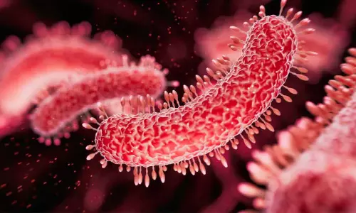 കോഴിക്കോട് പെരുവയലിൽ ആശങ്കയായി ഷിഗല്ല വൈറസ് ബാധ; 51 പേർ നിരീക്ഷണത്തിൽ