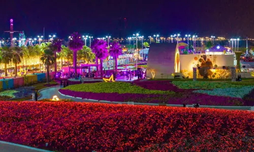 മരുഭൂമിയിൽ ഇനി പൂക്കാലം; 16-ാമത് യാംബു പുഷ്പമേളക്ക് നാളെ തുടക്കം