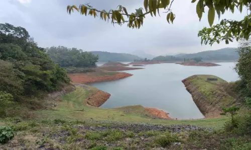 ഇടുക്കി ഡാമിലെ ജലനിരപ്പ് താ​ഴ്ന്നു