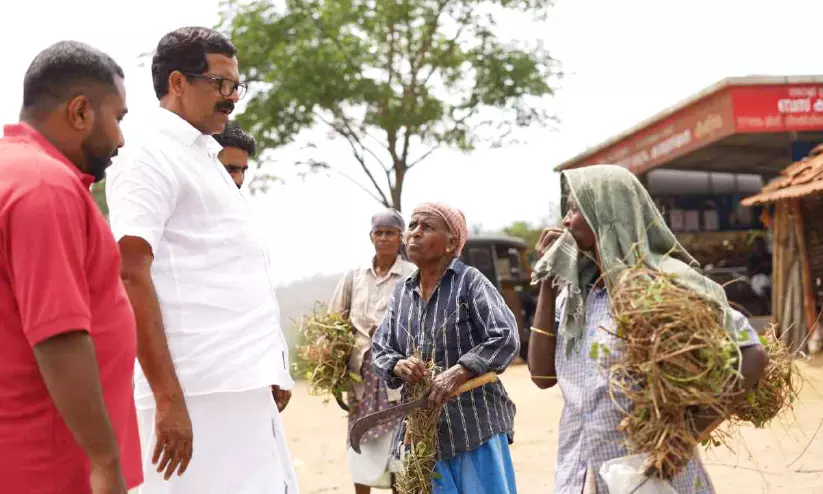 നിയമസഭ തെരഞ്ഞെടുപ്പ്; മണ്ണാര്ക്കാട് മണ്ഡലത്തില് പ്രചാരണം ശക്തമാക്കി മുന്നണികള് നിയമസഭ തെരഞ്ഞെടുപ്പ്; മണ്ണാര്ക്കാട് മണ്ഡലത്തില് പ്രചാരണം ശക്തമാക്കി മുന്നണികള്