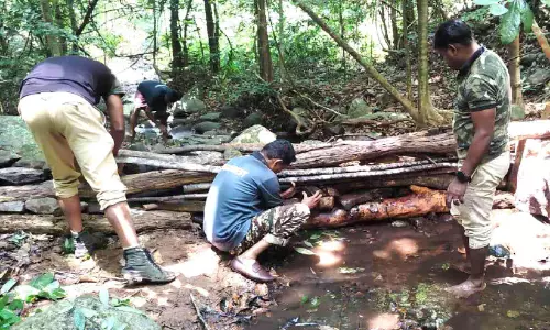 ലോക വനദിനം; വന്യജീവികൾക്കായി കുളങ്ങളും ചെക്ക് ഡാമുകളും ഒരുക്കി വനപാലകർ