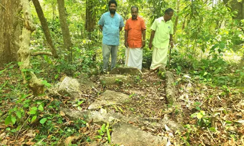 മഹാശിലായുഗത്തിലെ പെട്ടിക്കല്ലറ ശേഖരം കണ്ടെത്തി