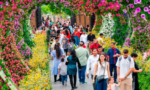 മിറാക്ക്​ൾ ഗാർഡനിൽ പ്രവേശനം പുനരാരംഭിച്ചു