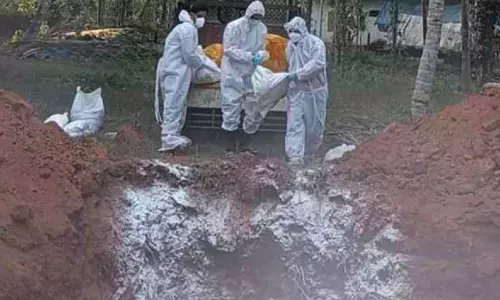 പക്ഷിപ്പനി; പനങ്ങാട് വളർത്തുപക്ഷികളെ കൊന്നൊടുക്കൽ പൂർത്തിയായി