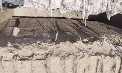 അപാകതകളേറെ; പാപ്പിനിശ്ശേരി മേൽപാലം തുറക്കാൻ വൈകും