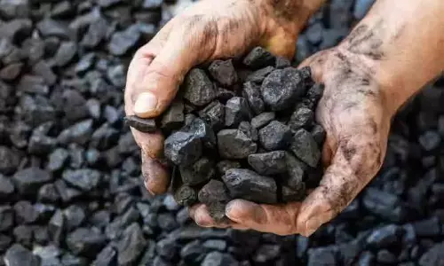 ഇന്ധന പ്രതിസന്ധി കടുക്കുന്നു, ഏഷ്യൻ രാജ്യങ്ങൾ വീണ്ടും കൽക്കരിയിലേക്ക്; പരിസ്ഥിതി ലക്ഷ്യങ്ങൾ പാളുമോ?