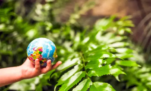 വ​നം ഗ​വേ​ഷ​ണ ഇ​ൻ​സ്റ്റി​റ്റ്യൂ​ട്ടി​ൽ എം.​എ​സ്‍സി