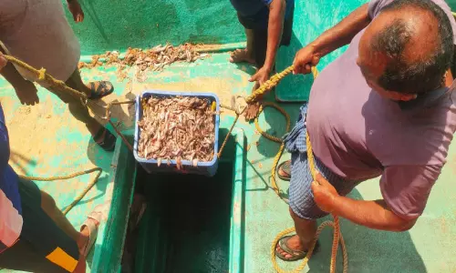 അനധികൃത മത്സ്യബന്ധനം; 5,750 കി​ലോ ചെ​റു​മ​ത്സ്യം പി​ടി​കൂ​ടി