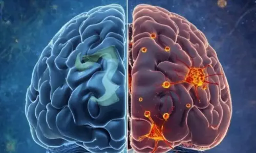 മറവിരോഗത്തിന് മരുന്നാകുമോ? തലച്ചോറിലെ ആ ഡെത്ത് സ്വിച്ച് ഓഫ് ചെയ്യാം, അൽഷിമേഴ്‌സ് ചികിത്സയിൽ പുതിയ കണ്ടെത്തലുമായി ഗവേഷകർ