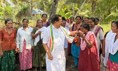 ഹരിപ്പാട്; തുടർവിജയത്തിനായി യു.ഡി.എഫ്, അട്ടിമറിക്കായി ഇടതുമുന്നണി ഹരിപ്പാട്; തുടർവിജയത്തിനായി യു.ഡി.എഫ്, അട്ടിമറിക്കായി ഇടതുമുന്നണി