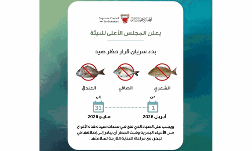 ബഹ്റൈനിൽ ഷേരി, സാഫി, ആൻഡക് മത്സ്യങ്ങൾക്ക് നിരോധനം