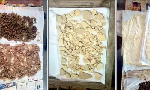 12 കോ​ടി​യു​ടെ മ​യ​ക്കു​മ​രു​ന്ന് പി​ടി​കൂ​ടി; ര​ണ്ടു പേ​ർ അ​റ​സ്റ്റി​ൽ