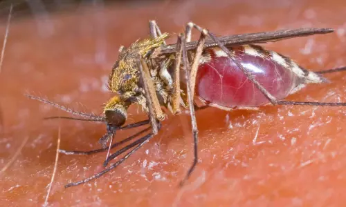 കൊതുക്​ പെരുകുന്നത്​ തടയാൻ വെള്ള​ക്കെട്ടുകൾ ഒഴിവാക്കണം