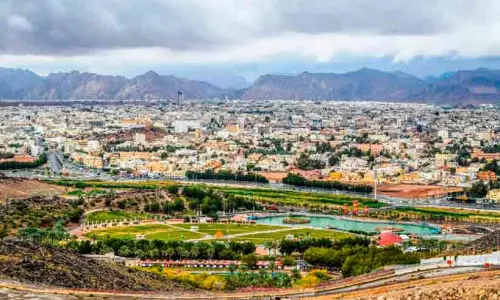 സൗദിയിൽ വസന്തകാല മഴ, മരുഭൂമികൾ പച്ചപുതച്ചു; സഞ്ചാരികളുടെ തിരക്കേറുന്നു