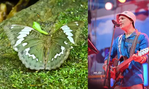അരുണാചലിൽ കണ്ടെത്തിയ പുതിയ ചിത്രശലഭത്തിന് ഗായകൻ സുബീൻ ഗാർഗിന്റെ പേര്