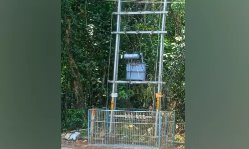 ട്രാൻസ്‌ഫോർമർ മാറ്റിയത് മരങ്ങൾക്കിടയിൽ; അപകടാവസ്ഥയെന്ന് പ്രദേശവാസികൾ